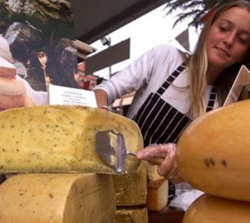 wheel of cheese being cut in Piedmont