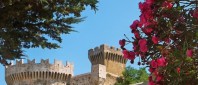 Castle of Populonia with pink flowers on the righthand side. Blue sky with various bushes and trees.