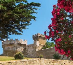 Castle of Populonia with pink flowers on the righthand side. Blue sky with various bushes and trees.