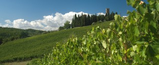 Badia a Passignano (ok)