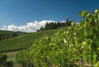 Badia a Passignano (ok)