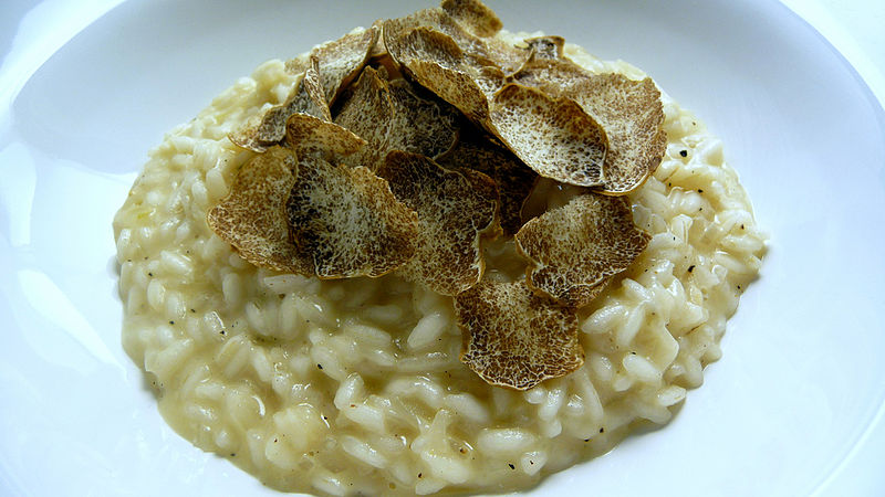 Risotto with white truffles from Alba