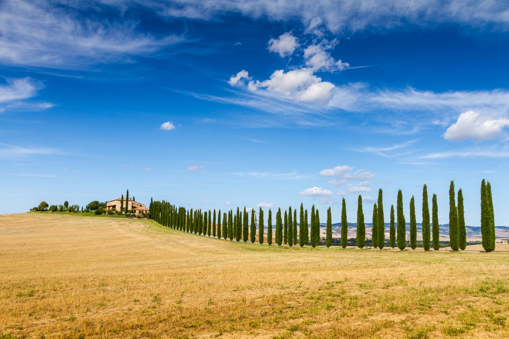 Tours of Tuscany