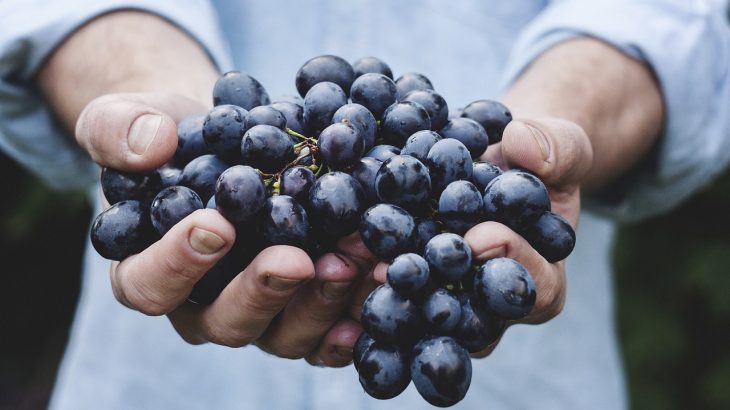 vinotheraphy