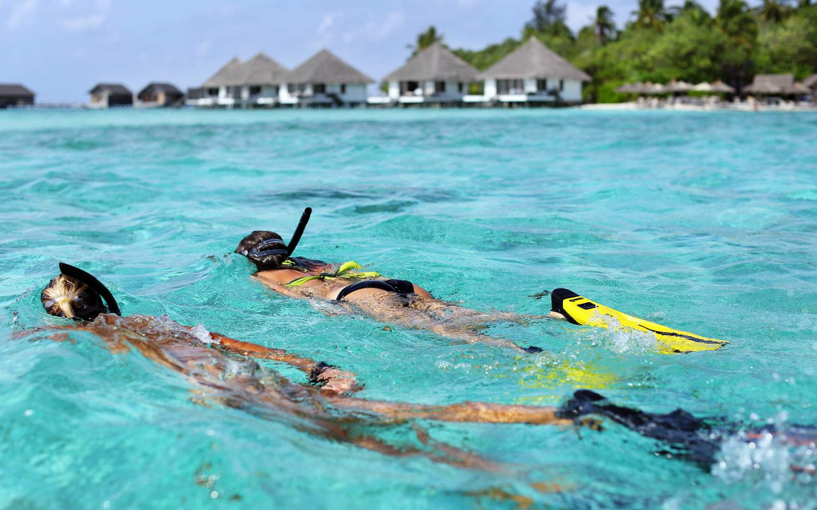 Snorkeling at Gangehi Resort