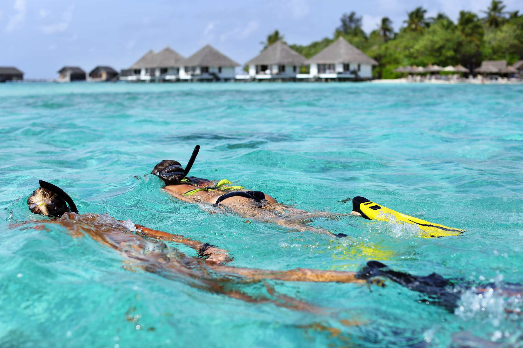 Snorkelling Image